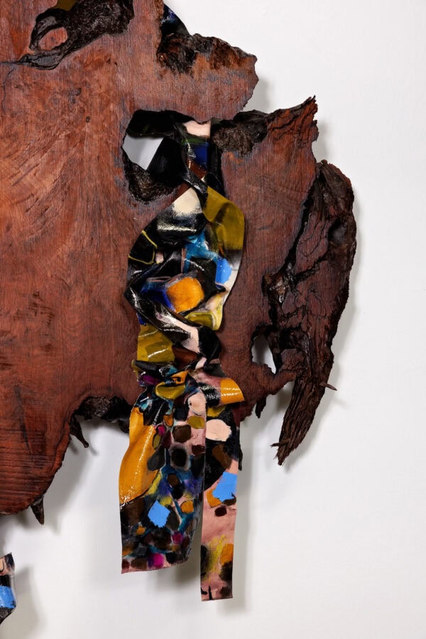 Reclaimed - Image 6