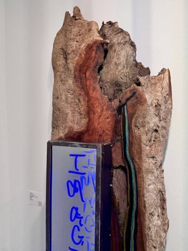 Imagine - Image 4